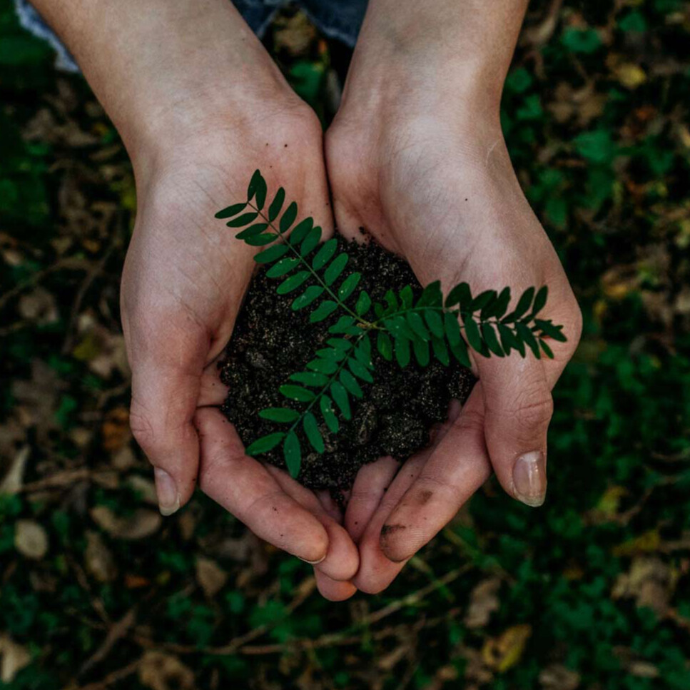 Transform Your Home with Yulitex GRS Shower Curtains and Drapery Curtains