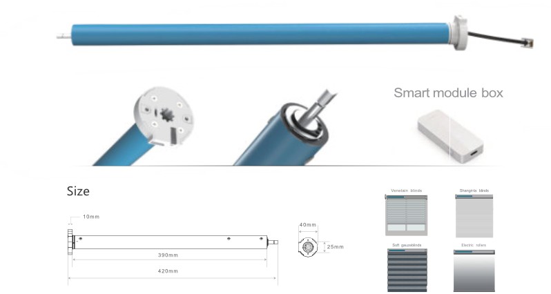 BTM25DE-TYZ DC TM.png