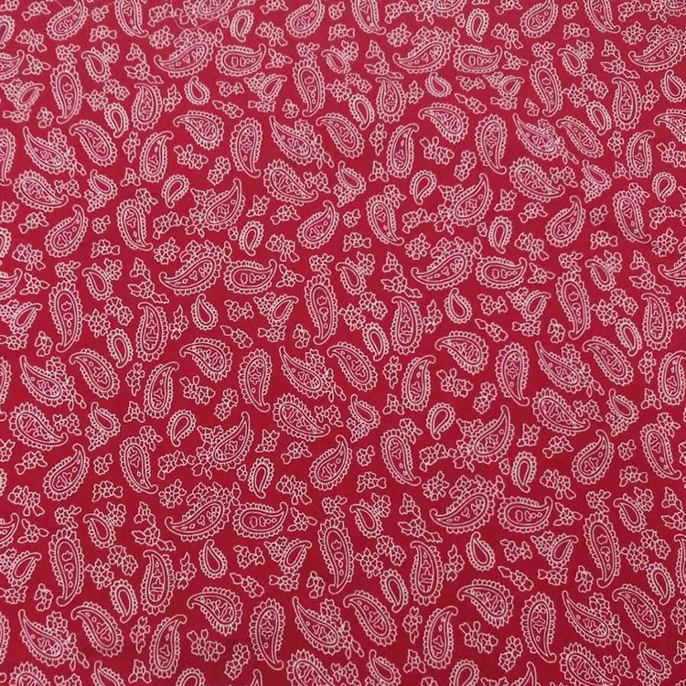 Yunfantex High Quality Digital Printed Paisley Cotton Printed Fabric for Dress