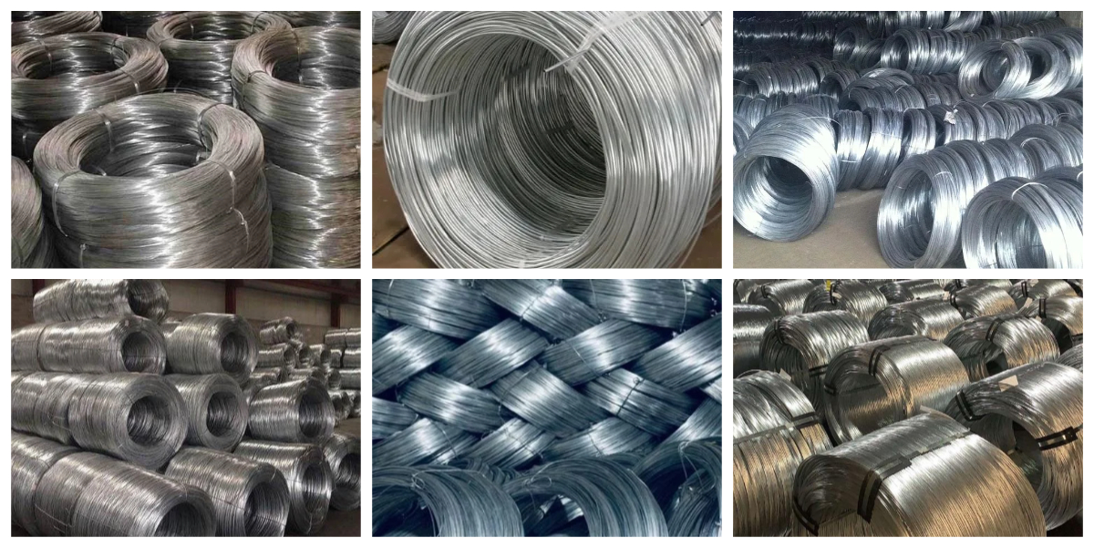 下载 (8).jpg 下载 (8).jpg