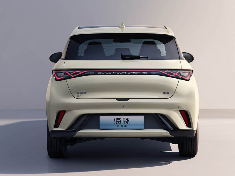 Бьярди Дельфин