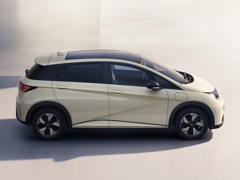 Бьярди Дельфин