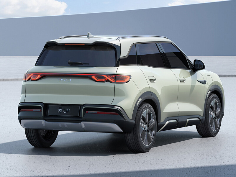 Бьярди Юань UP