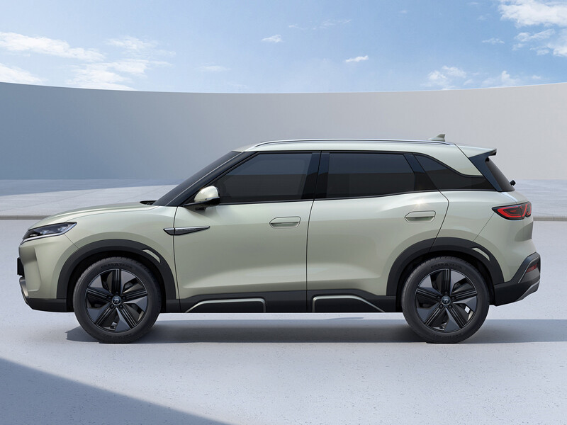 Бьярди Юань UP