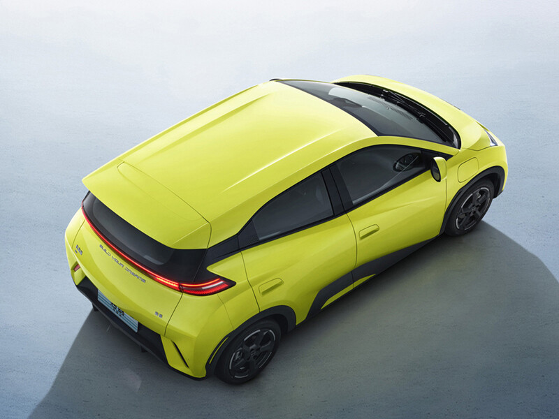 Бьярди чайка