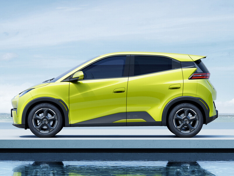 Бьярди чайка