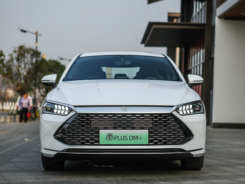 Бьярди Цинь Plus