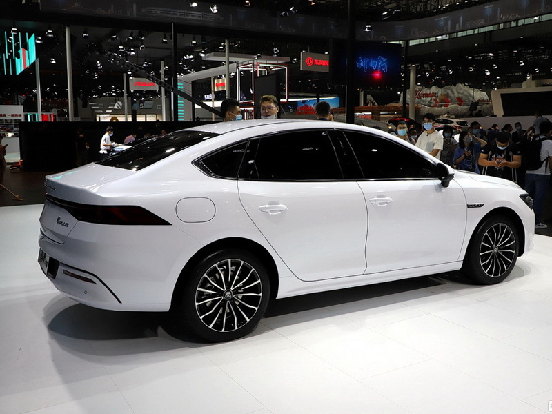 Бьярди Цинь Plus