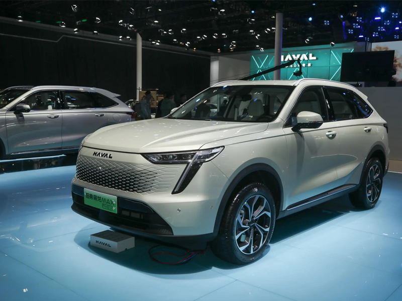 Хофер - сова Макс