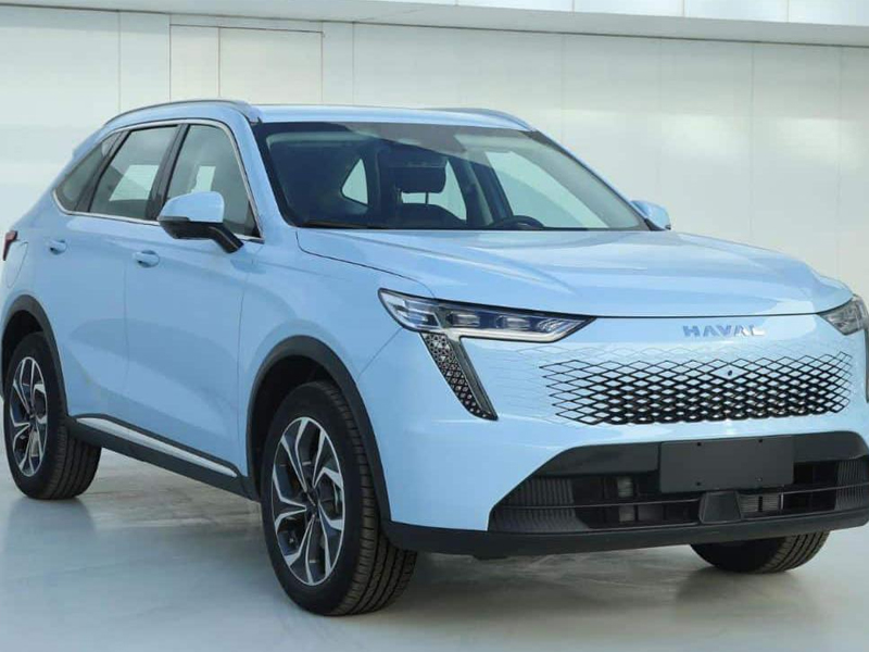 Хофер - сова Макс