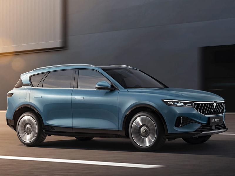 Свободные растения