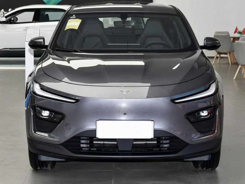 NETA X 2023 500 Lite