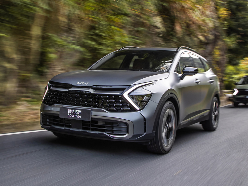 Kia Lion Platinum Expansion 2023 2.0T four-wheel drive flagship version