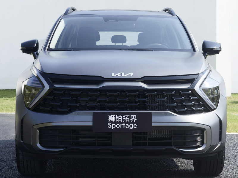 Kia Lion Platinum Expansion 2023 2.0T four-wheel drive flagship version