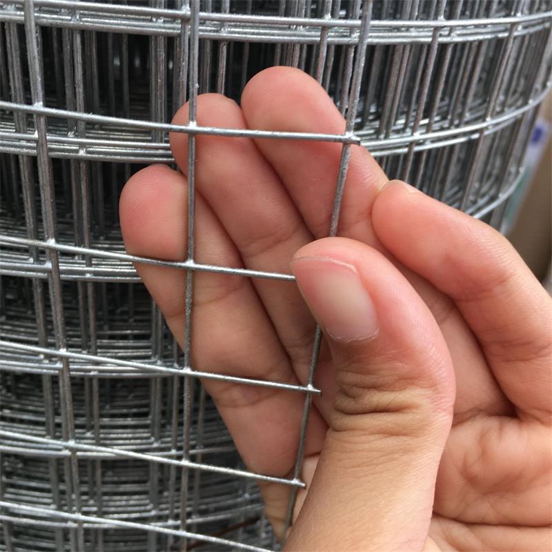 Steel Wire Mesh