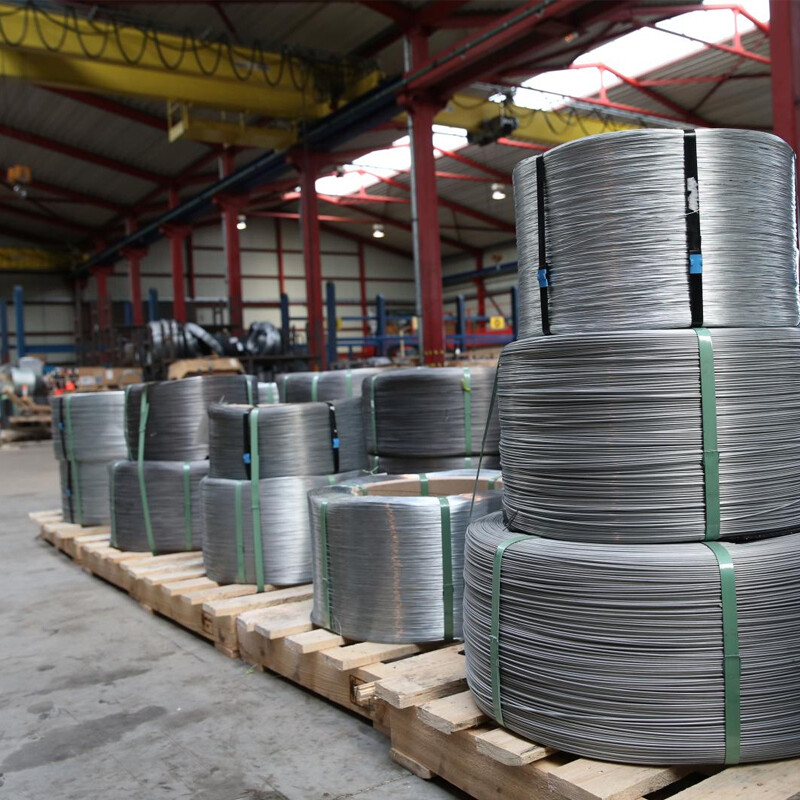 SAE1055 Carbon steel wire