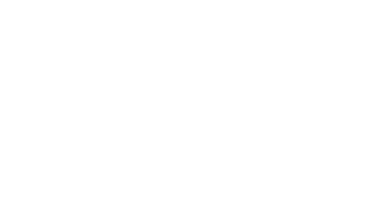 логотип (2).png