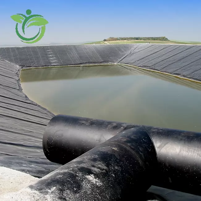 LDPE Geomembrane