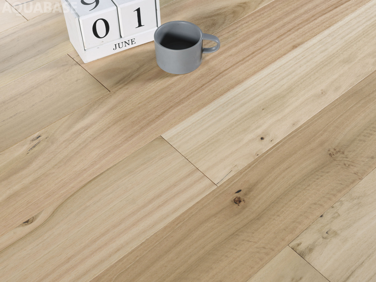 BLACKBUTT M.B.-3.jpg