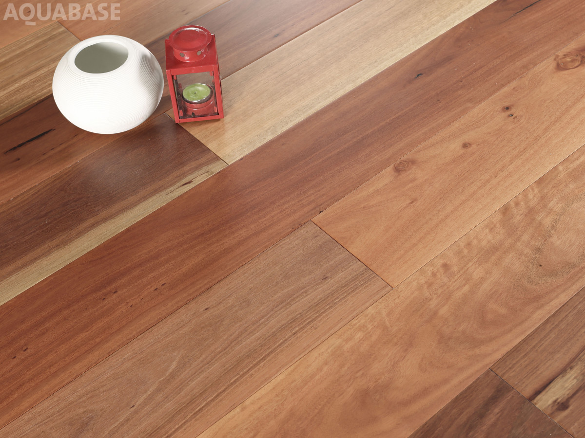 BLUE GUM-2.jpg BLUE GUM-2.jpg