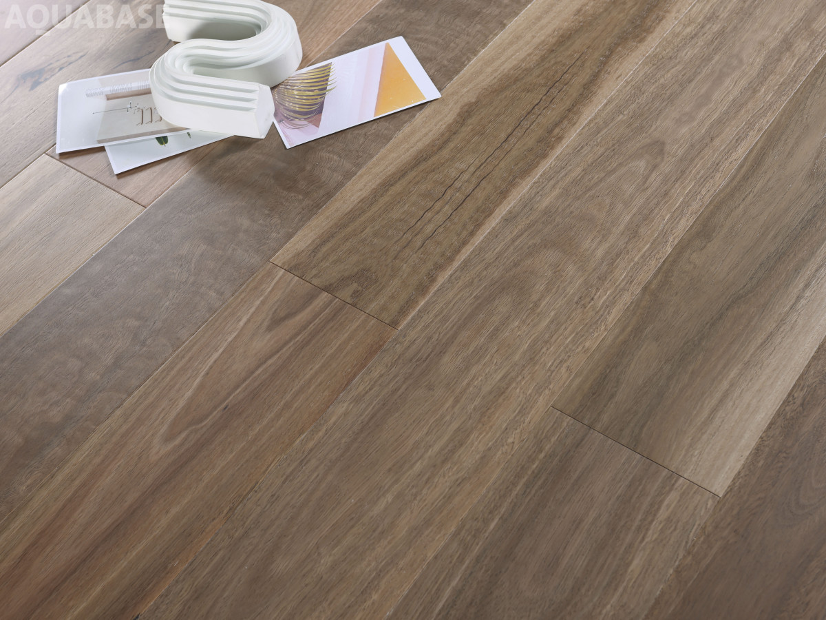 SPOTTED GUM M.B-3.jpg