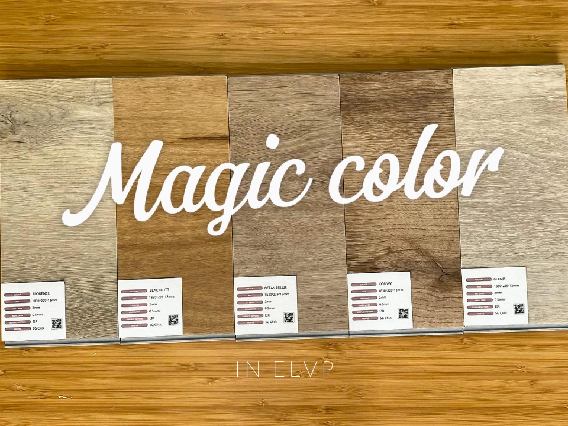 Magic color--ELVP