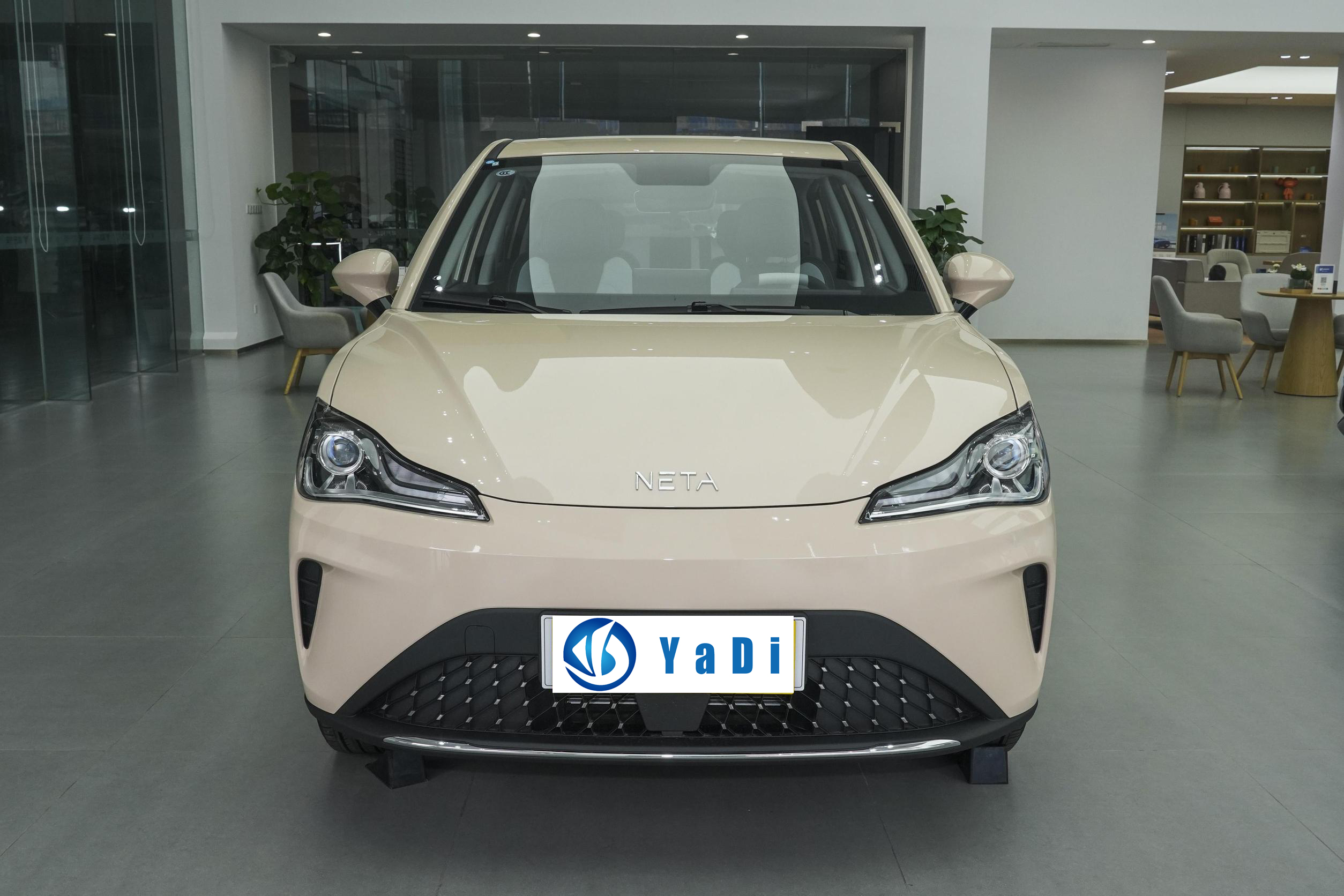 Nezha Aya 2023 318 Cars 2023 Neta Aya Suv Electric Car Adults Cheap 4 Wheels China New Car