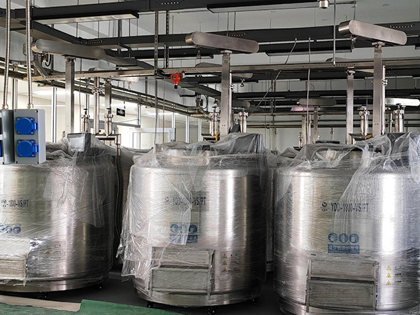 YDD Series BioBank Liquid Nitrogen Tank 