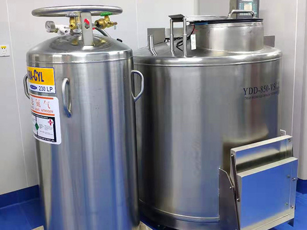YDD Series BioBank Liquid Nitrogen Tank 