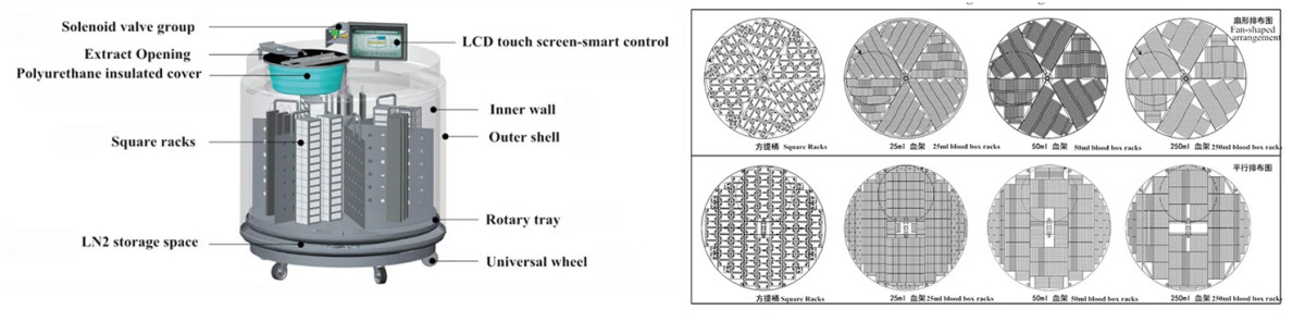 Product-Structure.jpg