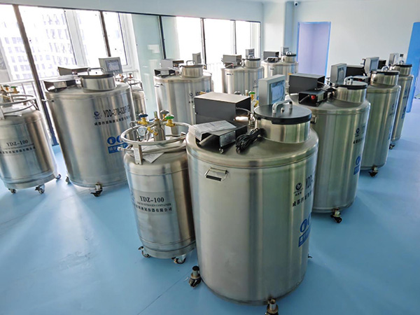 YDD Series BioBank Liquid Nitrogen Tank 