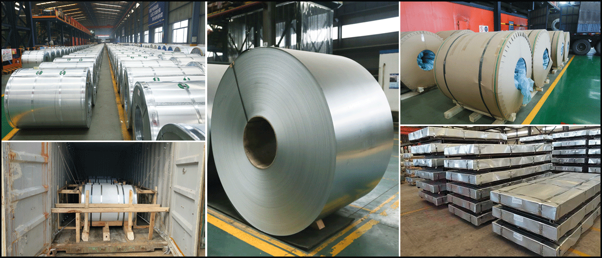 Galvanized coil