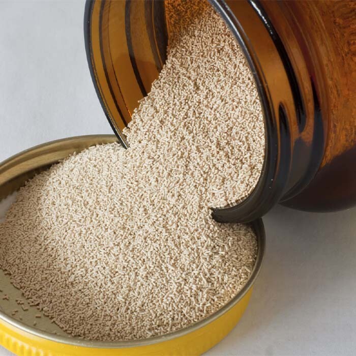 Low sugar high active yeast