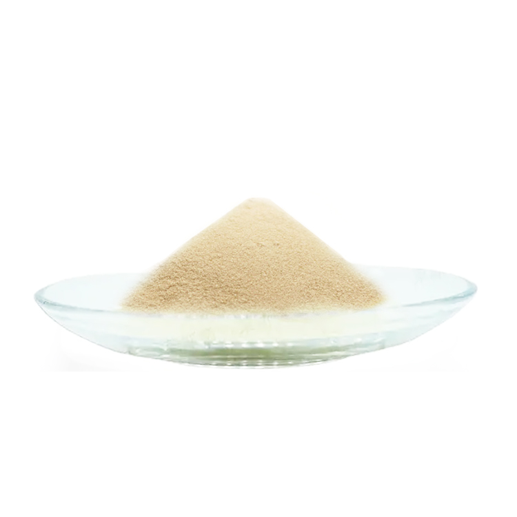 Arabic Gum CAS 9000-01-5