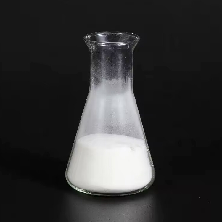 Hydroxypropylmethylcellulose