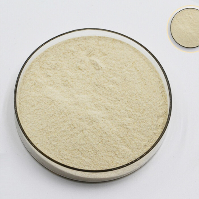 Xanthan gum