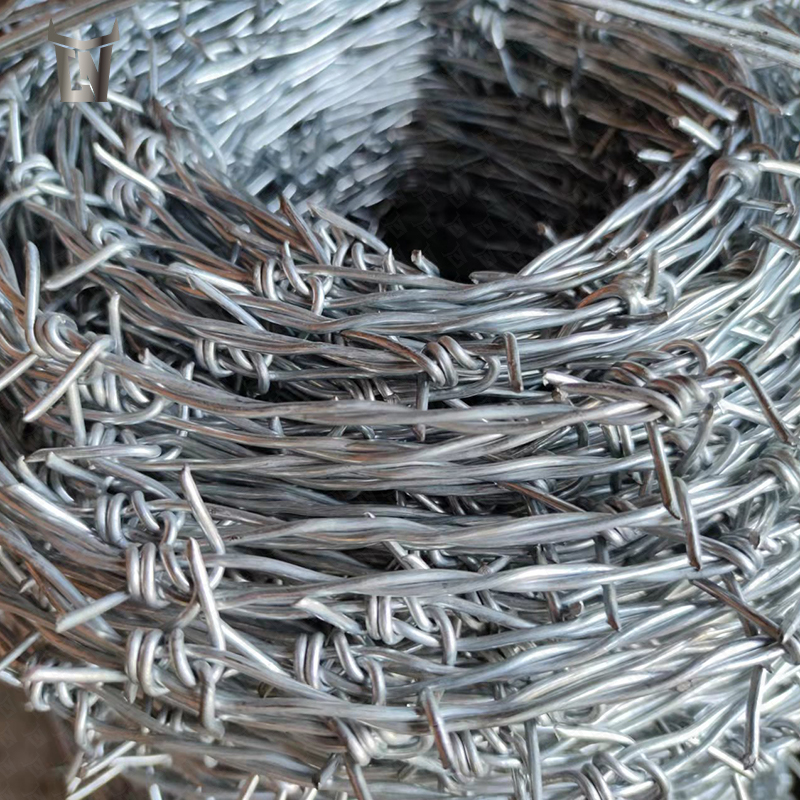 Barbed-Wire Reversed Twisted