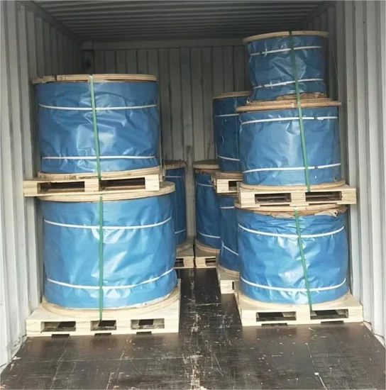 Steel wire rope shipped to Egypt