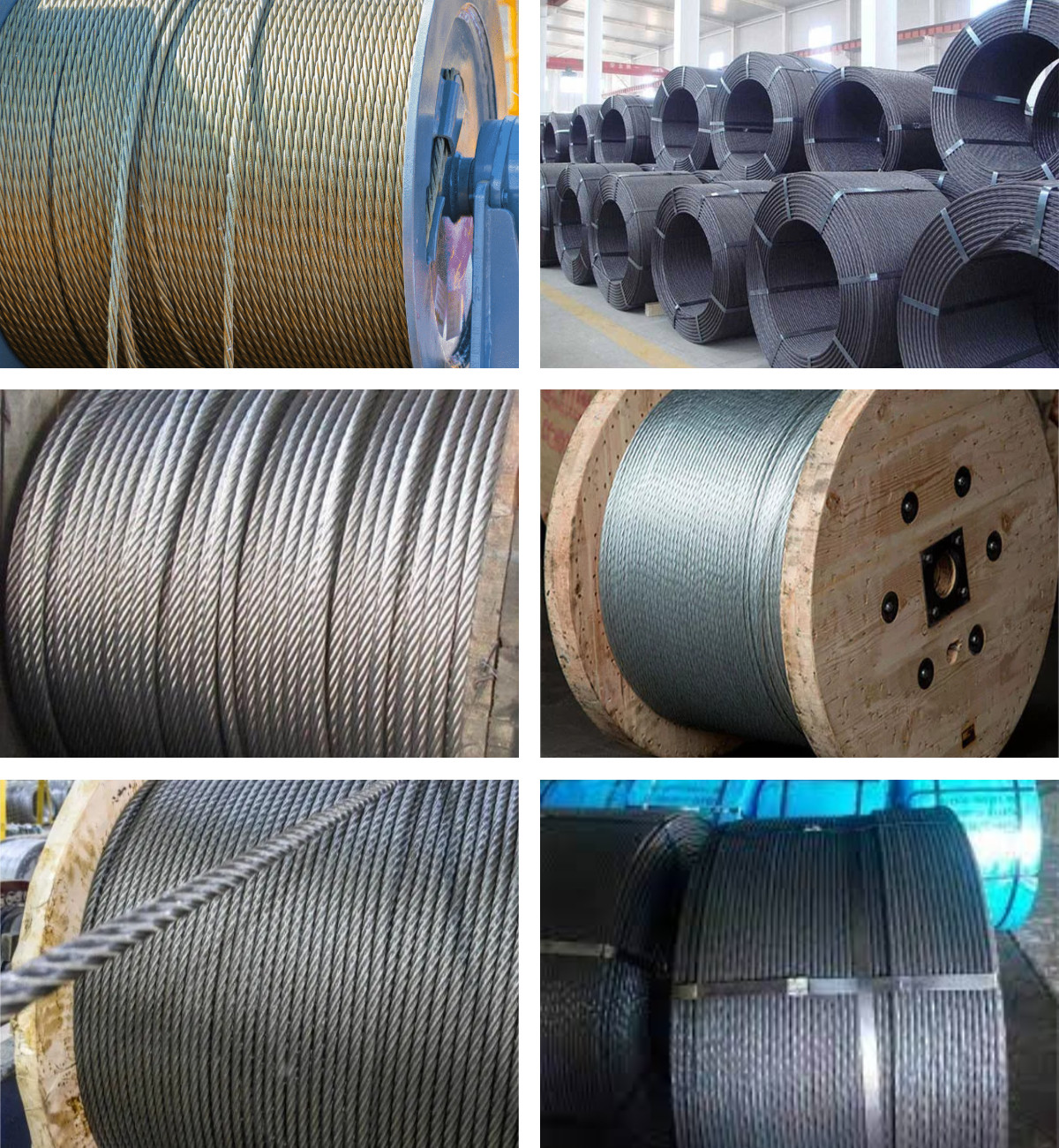 下载 - 2023-12-26T142714.629.jpg