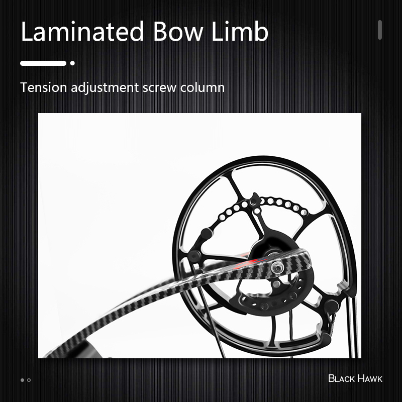 Alien Peng Archery Black Hawk Compound Bow