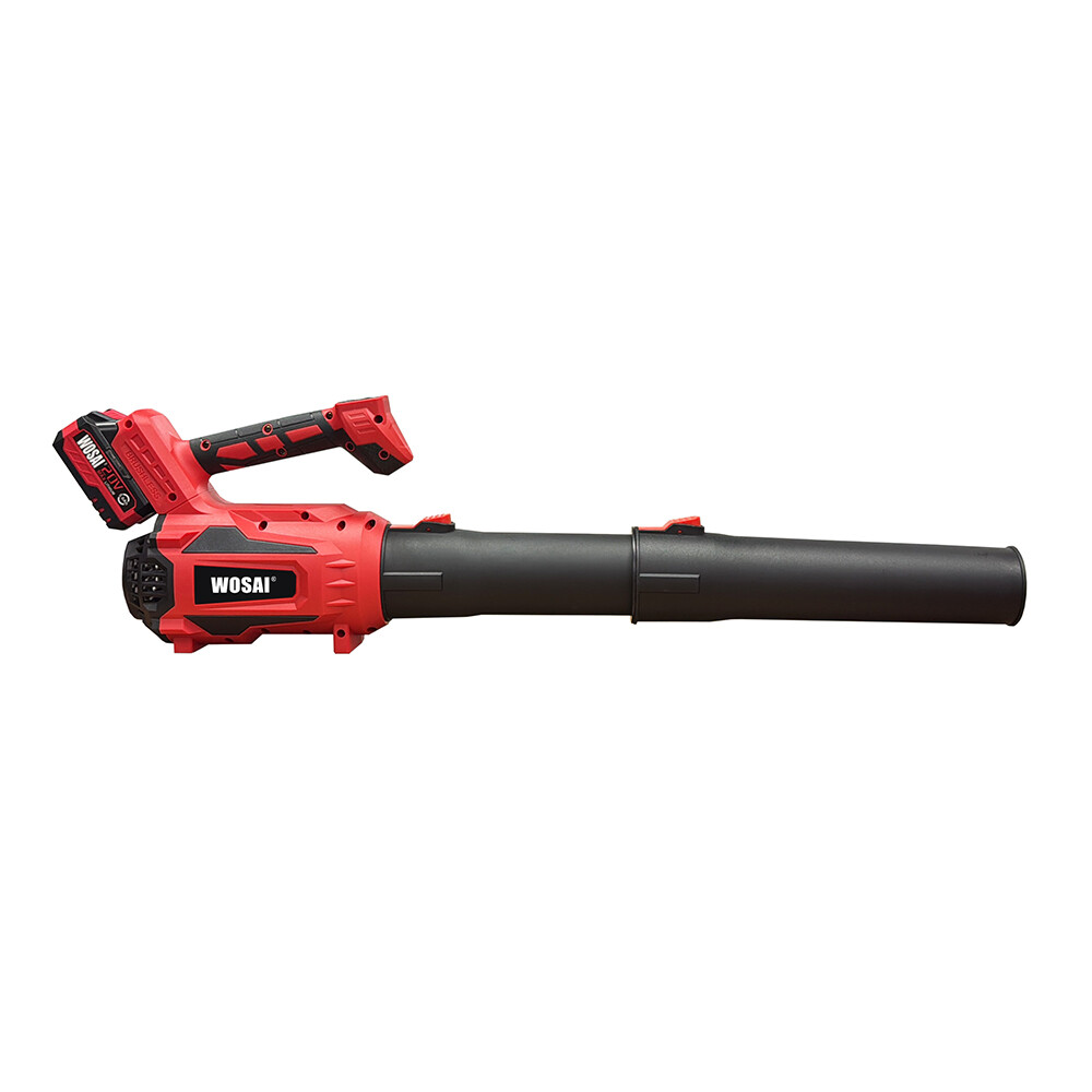 21V Cordless Brushless Blower
