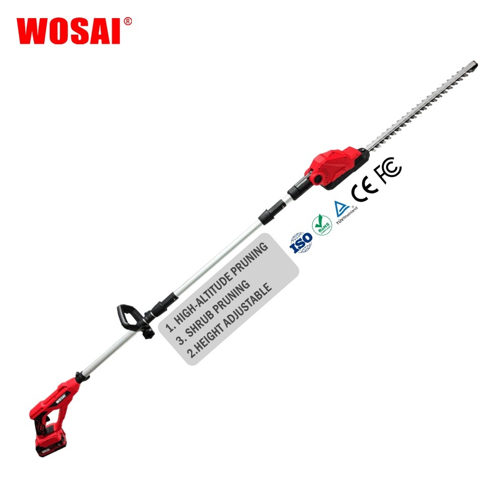 WS70062 (1)