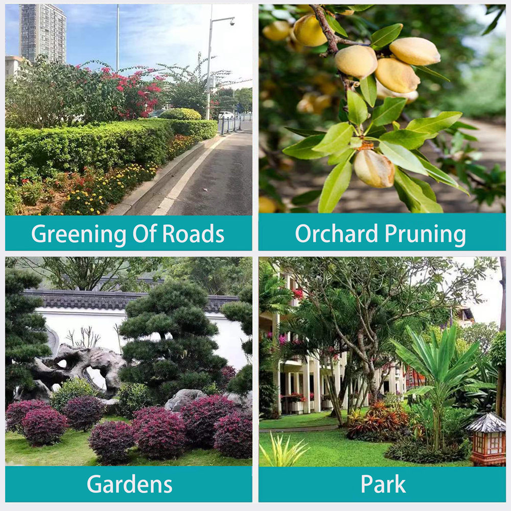 20V Brushless 8inch chainsaw with semi-autoautomatic oil feed(MT)