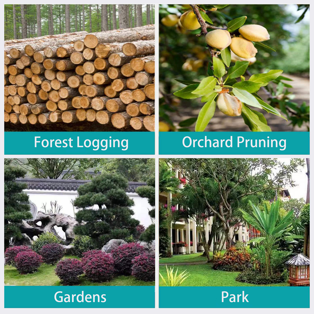 20v Brushless Cordless 6 inch chainsaw