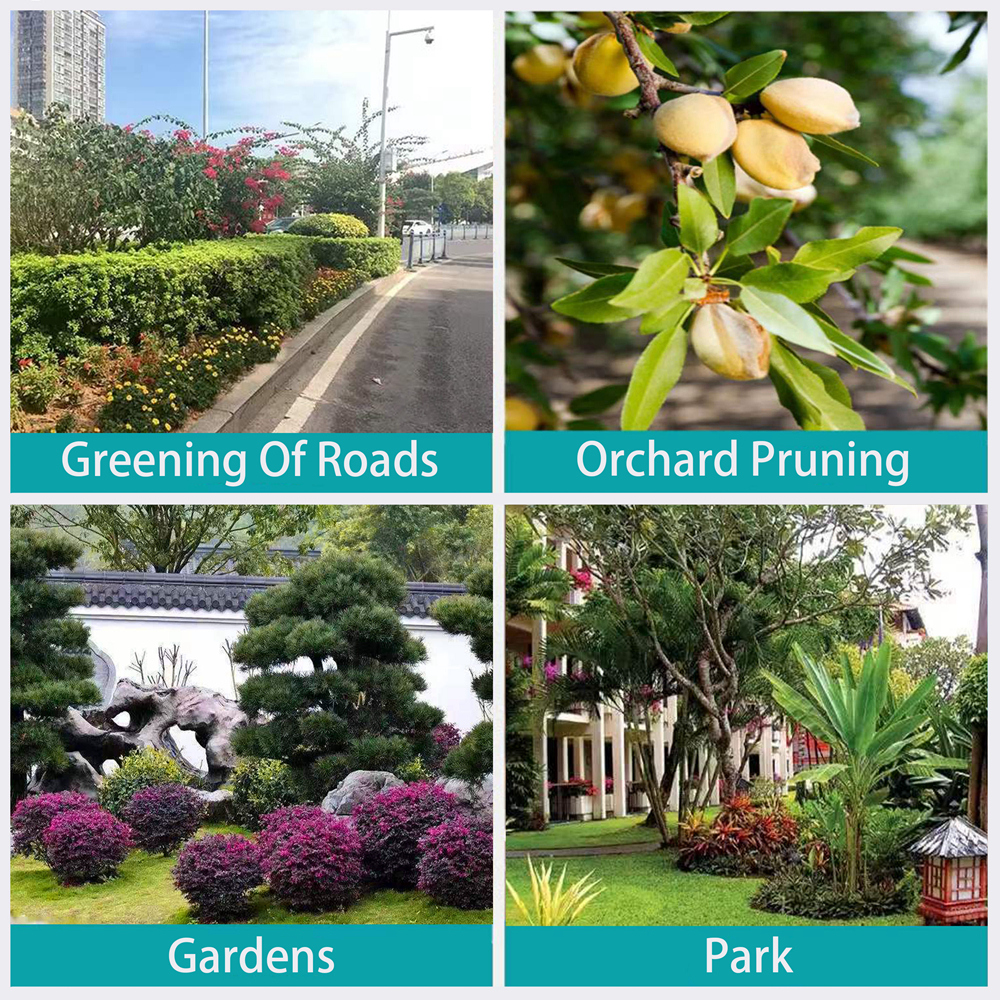 20V Brushless 6inch chainsaw-fully automatic feed(MT)