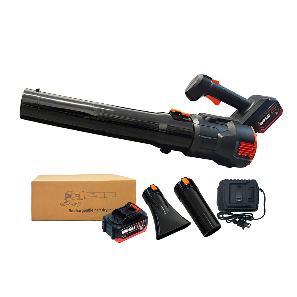 20v Cordless blower
