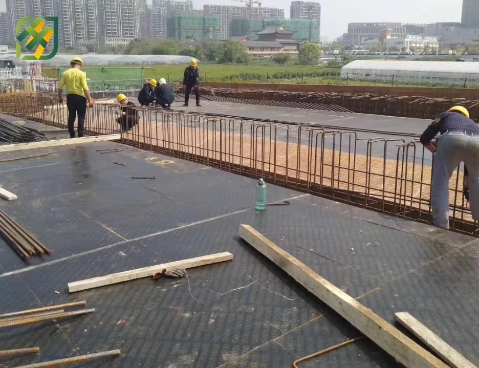 film faced plywood application