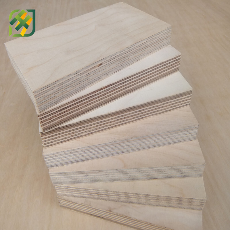 Brich plywood