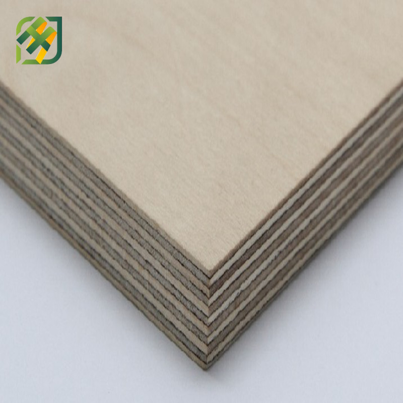 Brich plywood