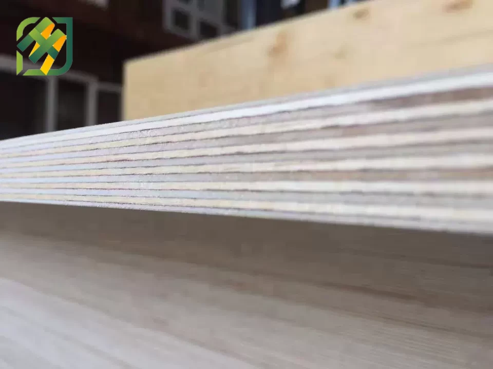 Brich plywood